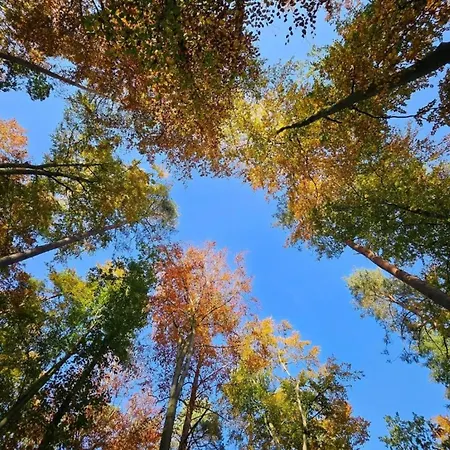 Apartamento Liebevoll Eingerichtetes Rechlin