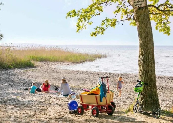 Apartment Liebevoll Eingerichtetes