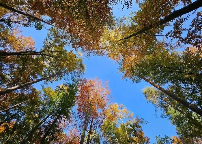 Apartment Liebevoll Eingerichtetes Rechlin
